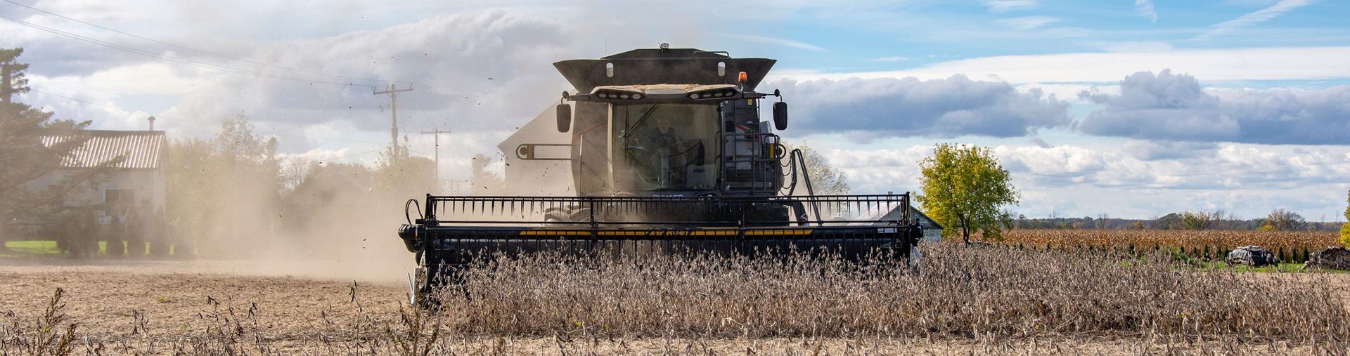 Combine collecting corn