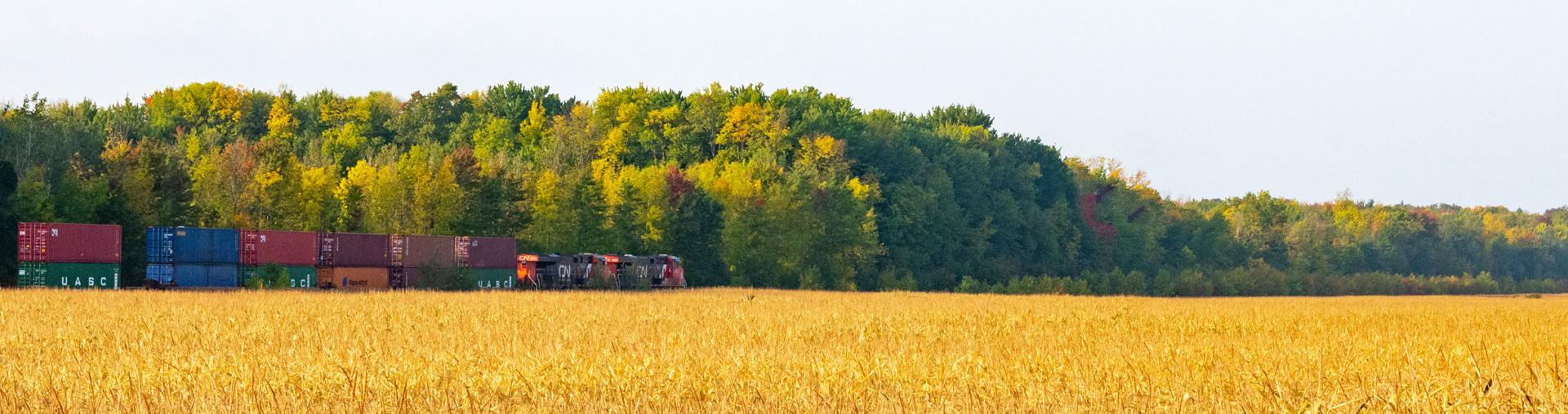 View of CN railway