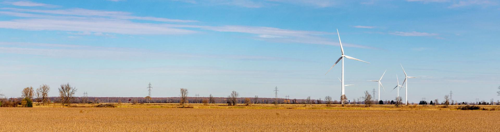 Farm field and windmills