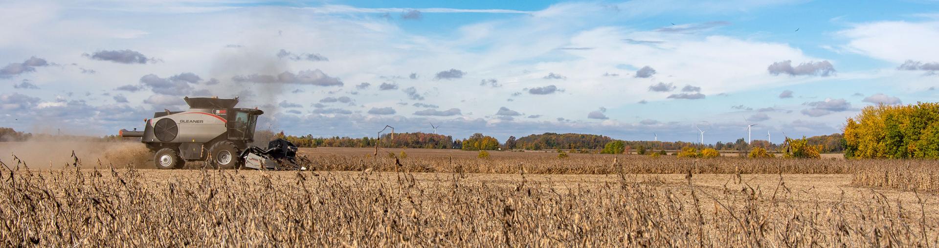 Combine plowing field