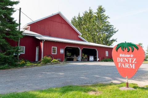 Dentz Orchards and Berry Farm sign and barn