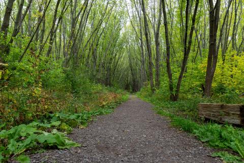 Two Creeks walking trail