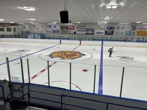 In Ice Logo Painting