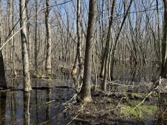 Two Creeks Trail