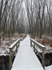 Two Creeks Forest, Winter Traill